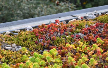 the cost of Poslingford green roof installation