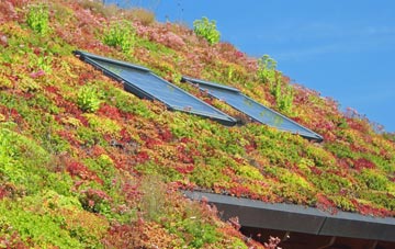 Poslingford living roof systems