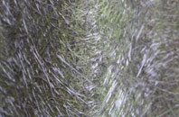 Poslingford fibreglass roof work